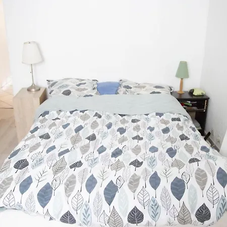 Nice Apartment 10 Min From The Place Des Vosges Apartment *